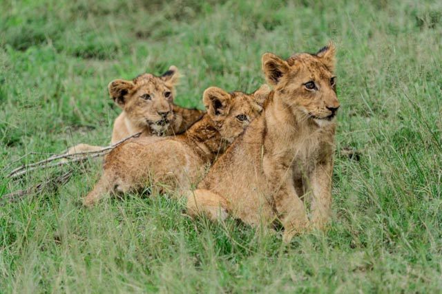 DSC01934 Enhanced NR