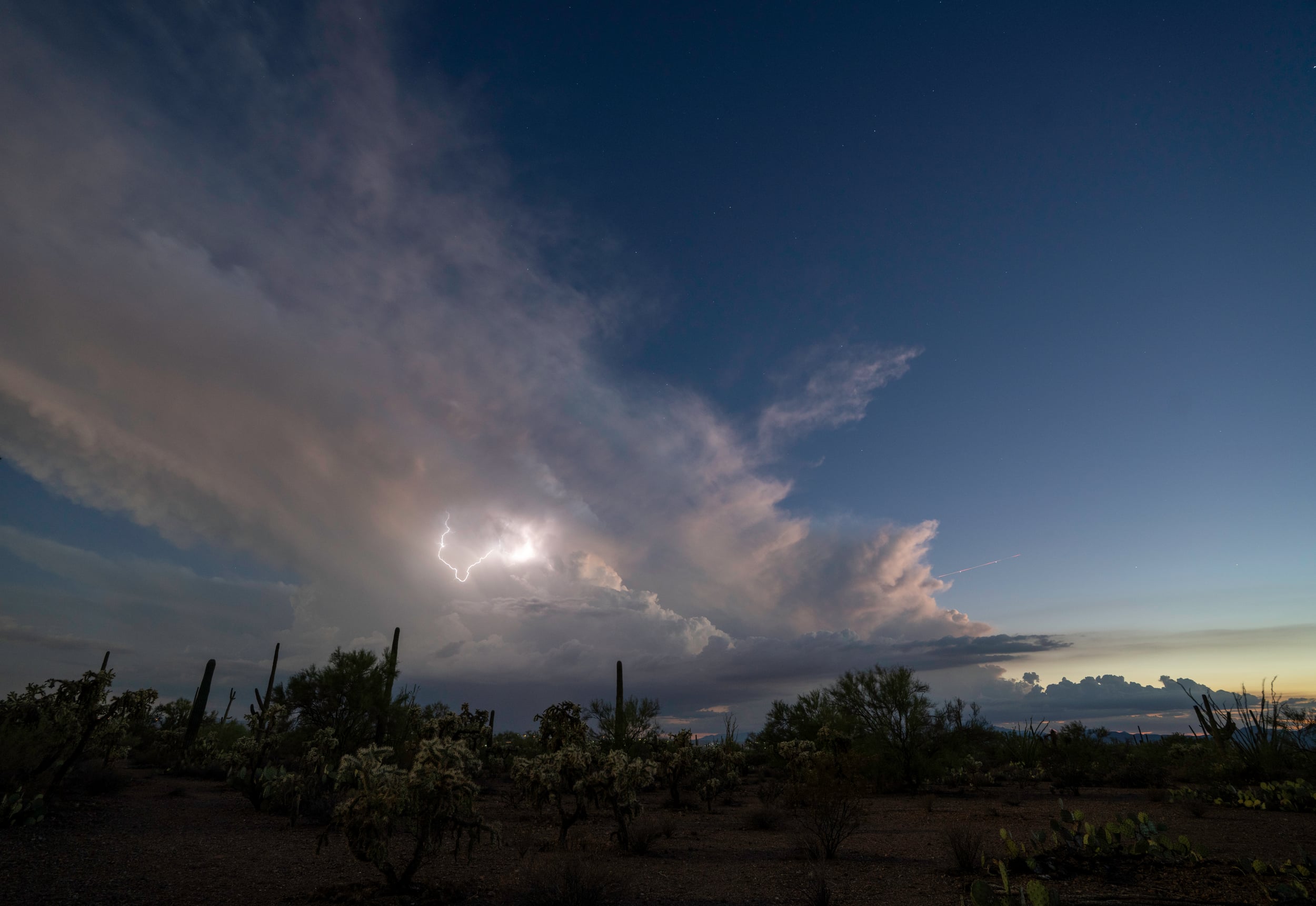 Saguaro Lightning