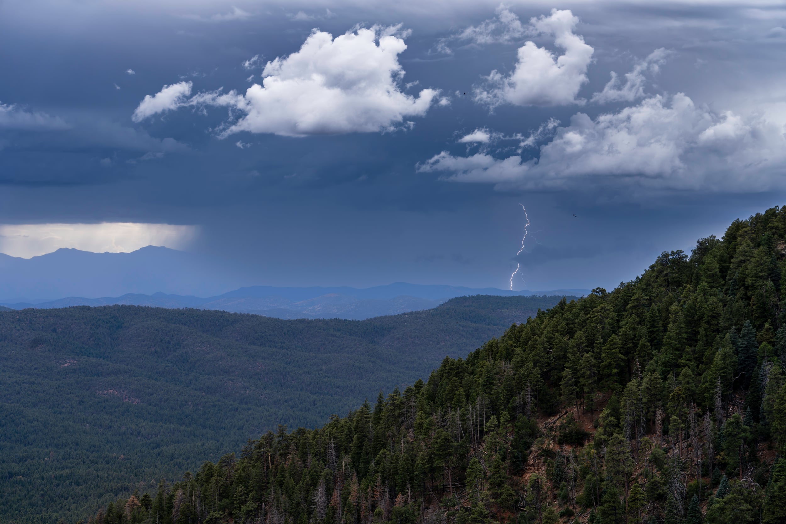 Mogollon Rim Lightnjng