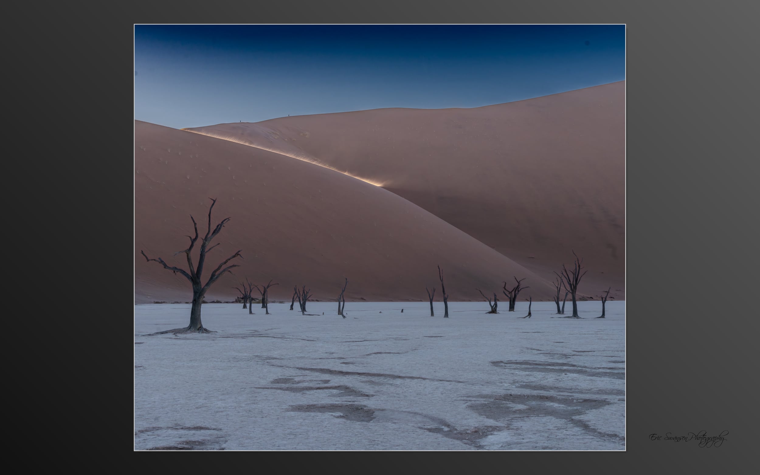 Dead Vlei III