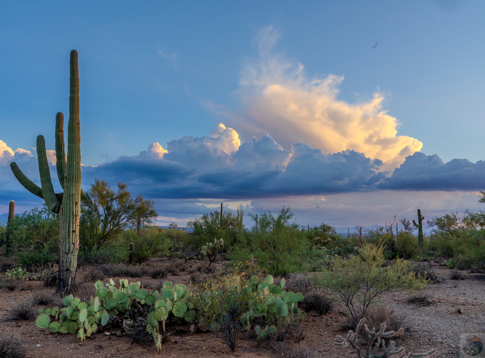 Gathering Storm III