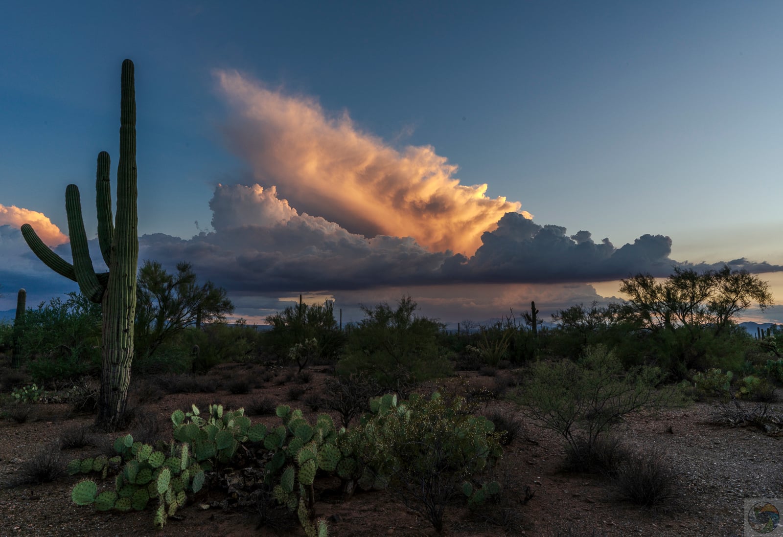 Gathering Storm II