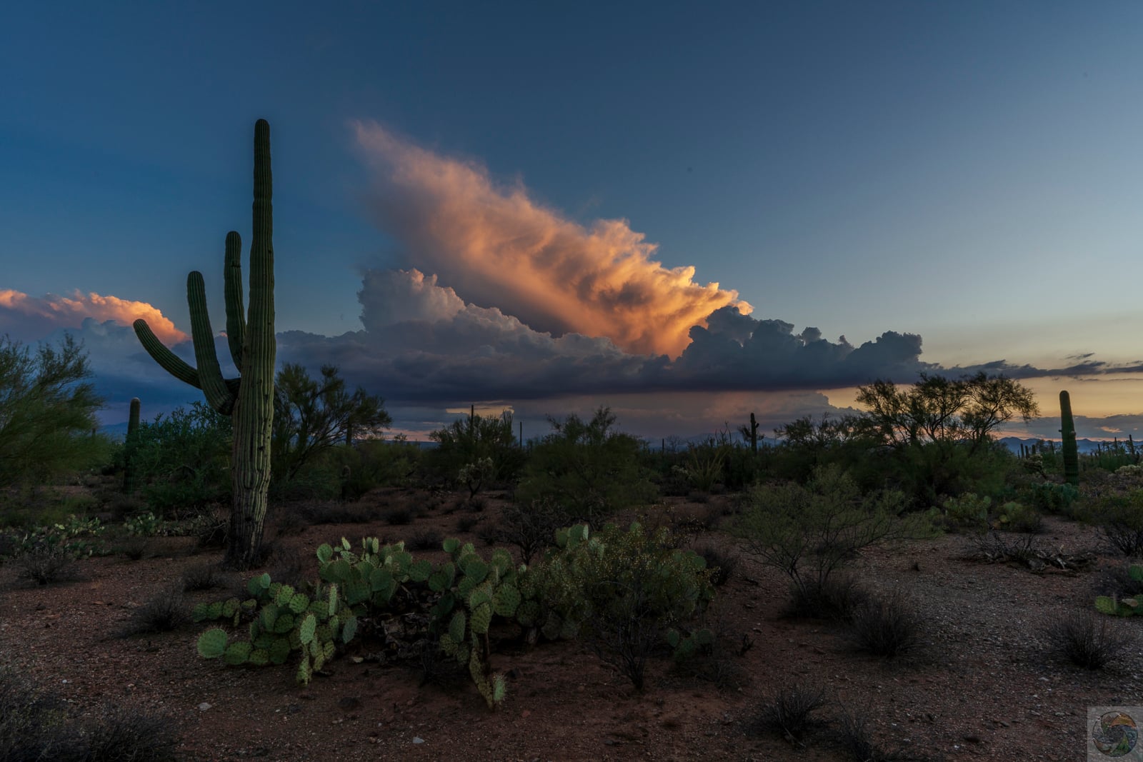 Gathering Storm I
