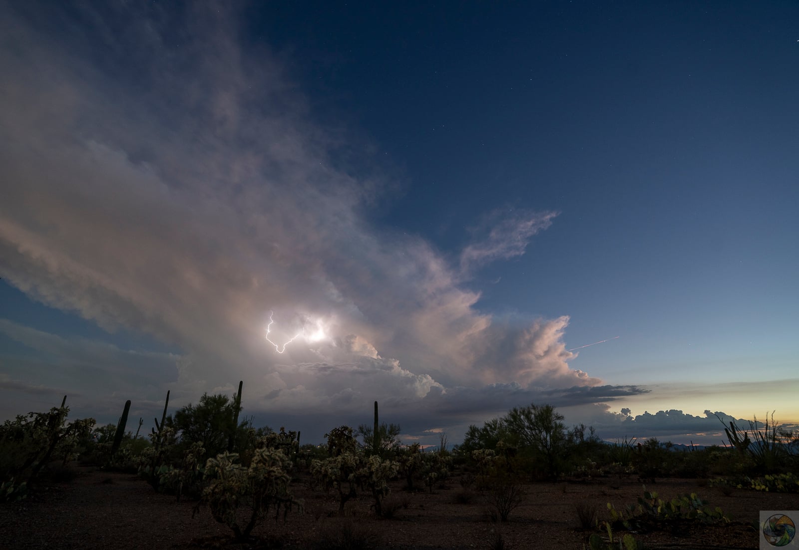 Saguaro Spark