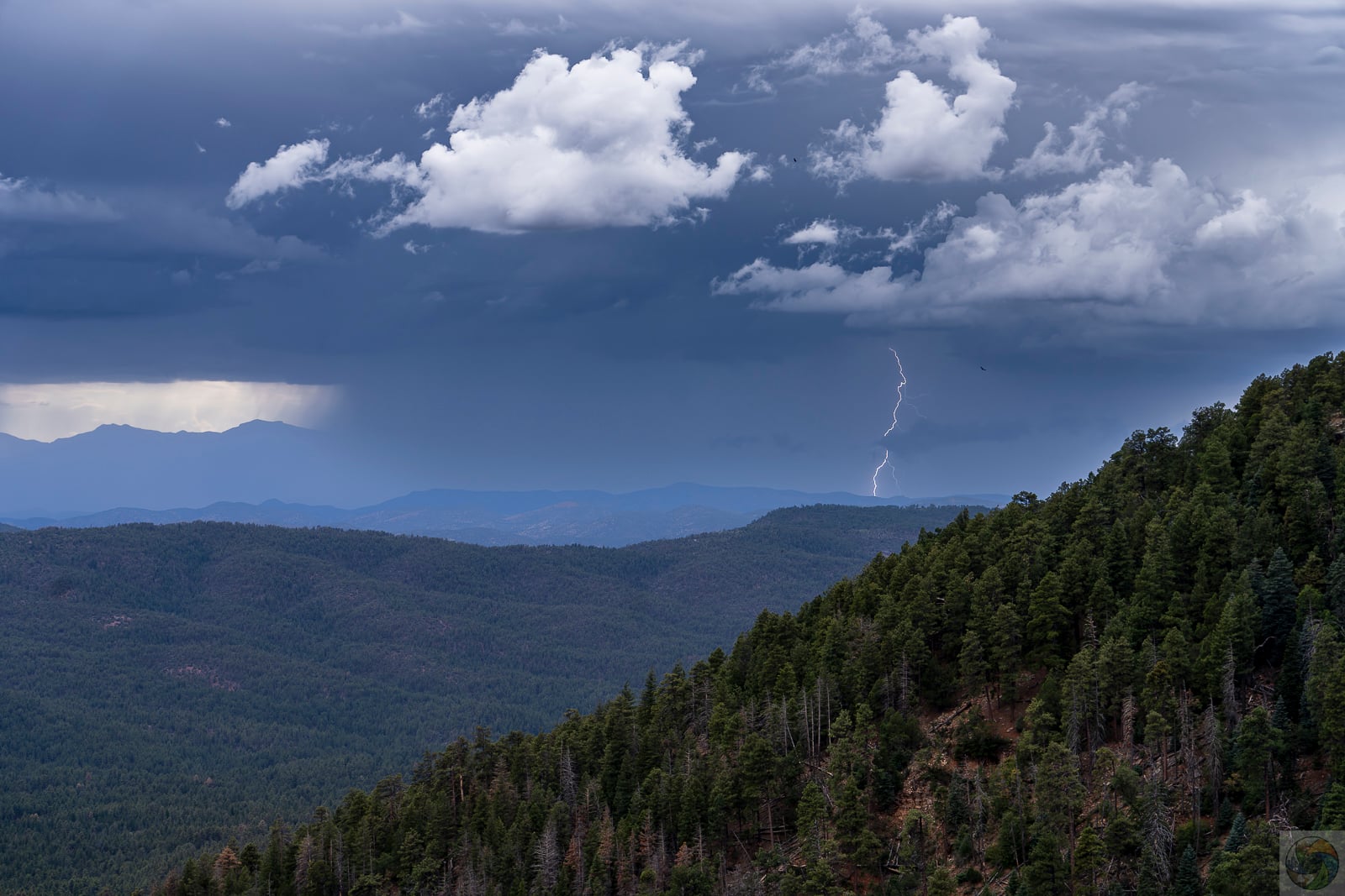 Mogollon Lightning