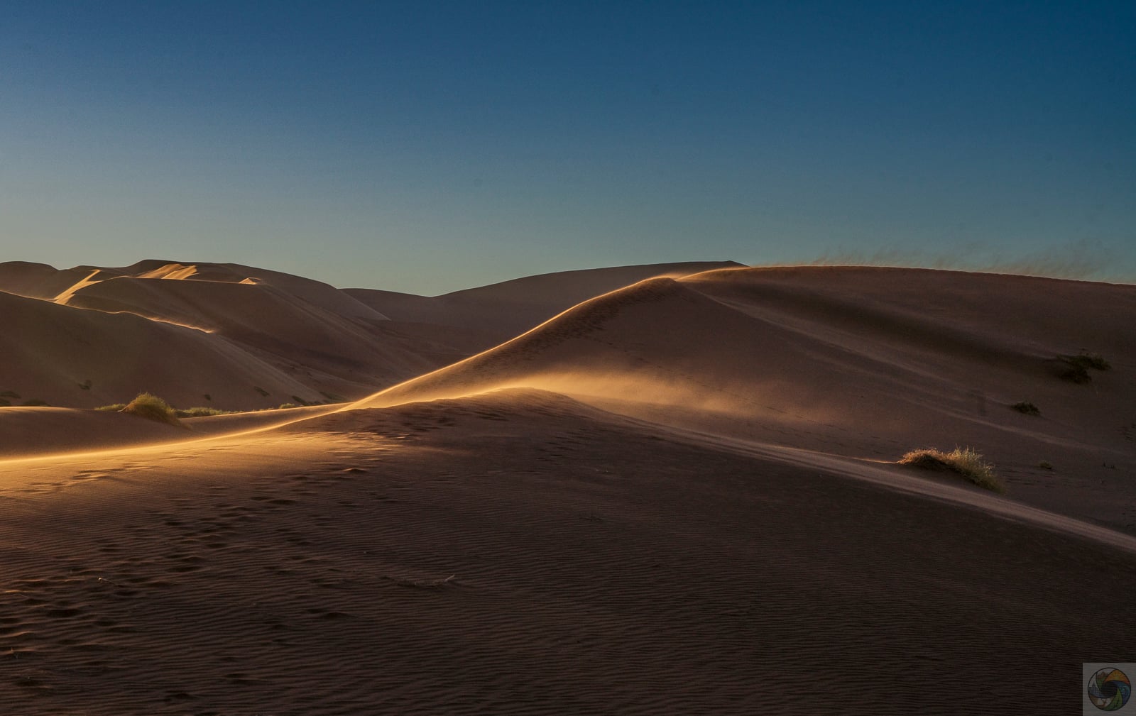 Soussesvlei Sands