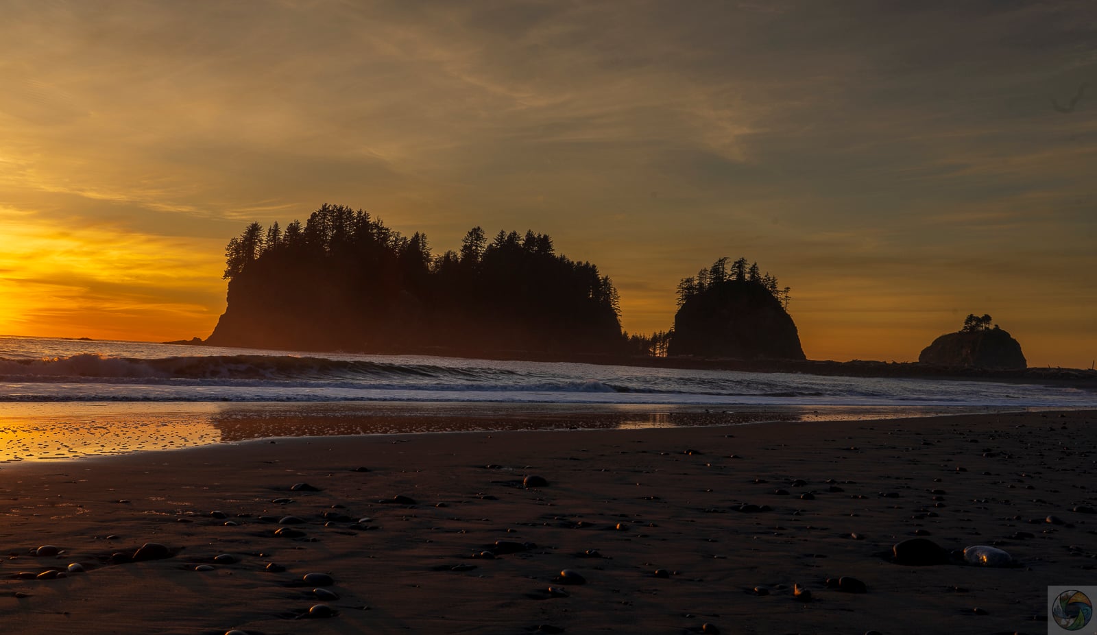 Quillayute Coast
