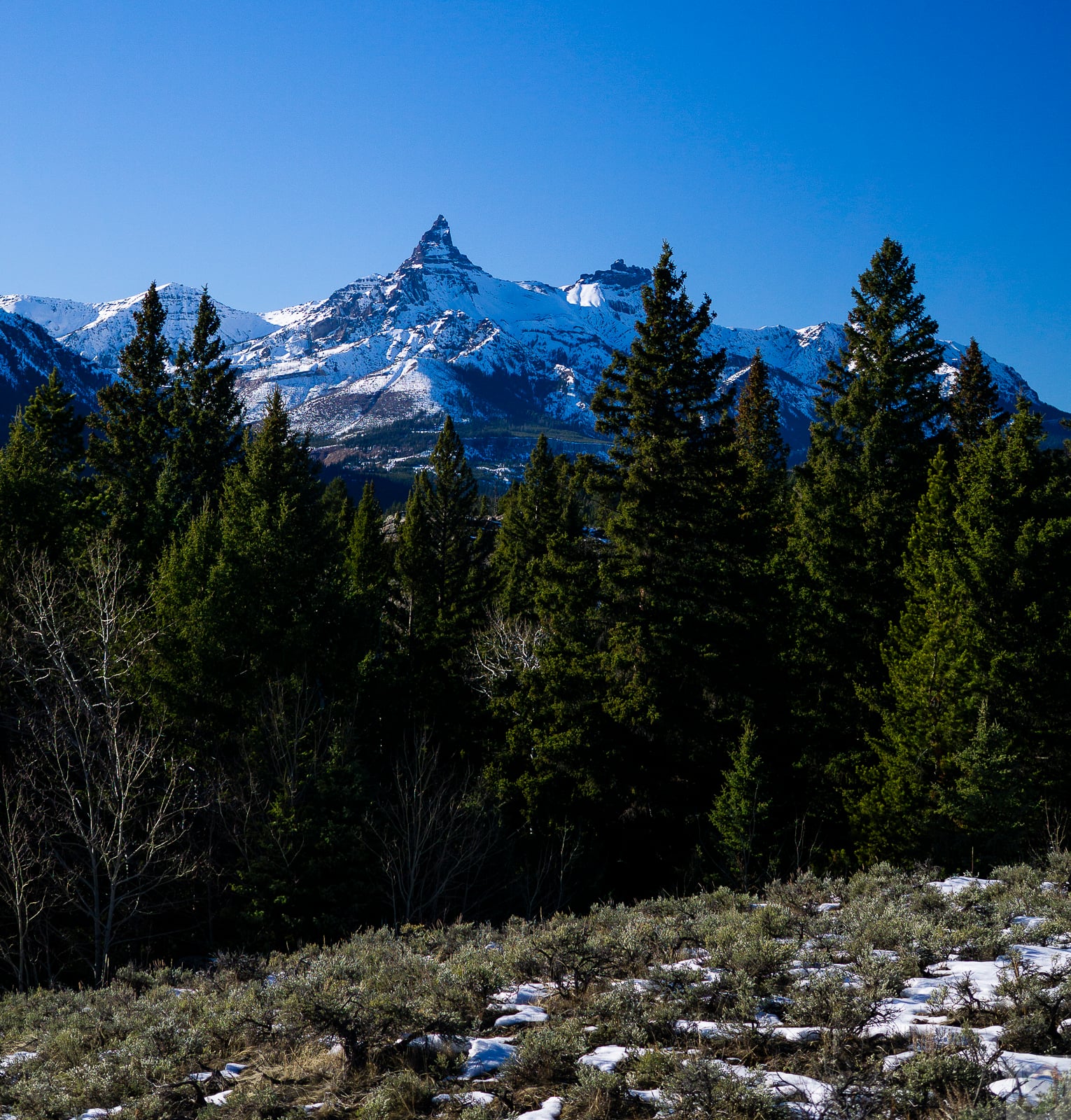 Pilot Peak
