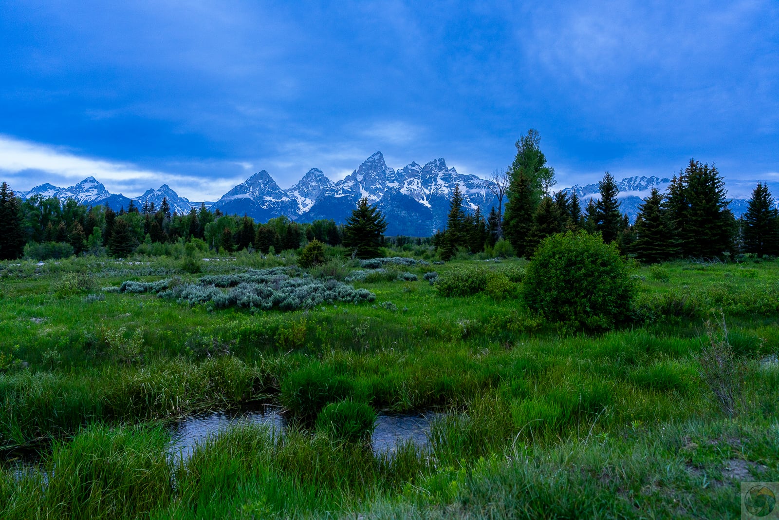 Schwabacher Spring