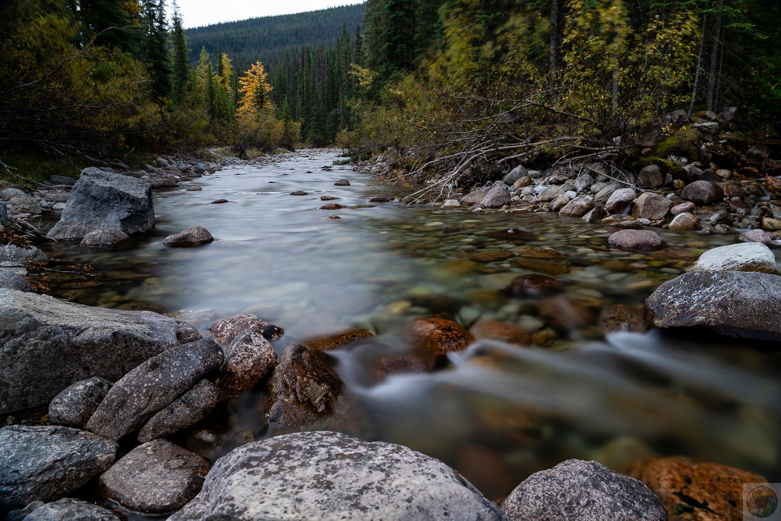 Autumn Creek