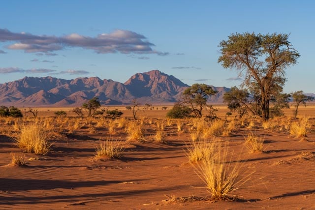 Namibrand Nature Reserve
